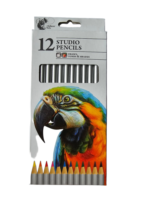 Studio Pencils - Pack of 12 - Draws, tones and shades - Chiltern Arts