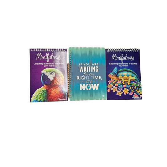 Nics Mindful Bundle - 2 mindful colouring books plus an undated wellness planner