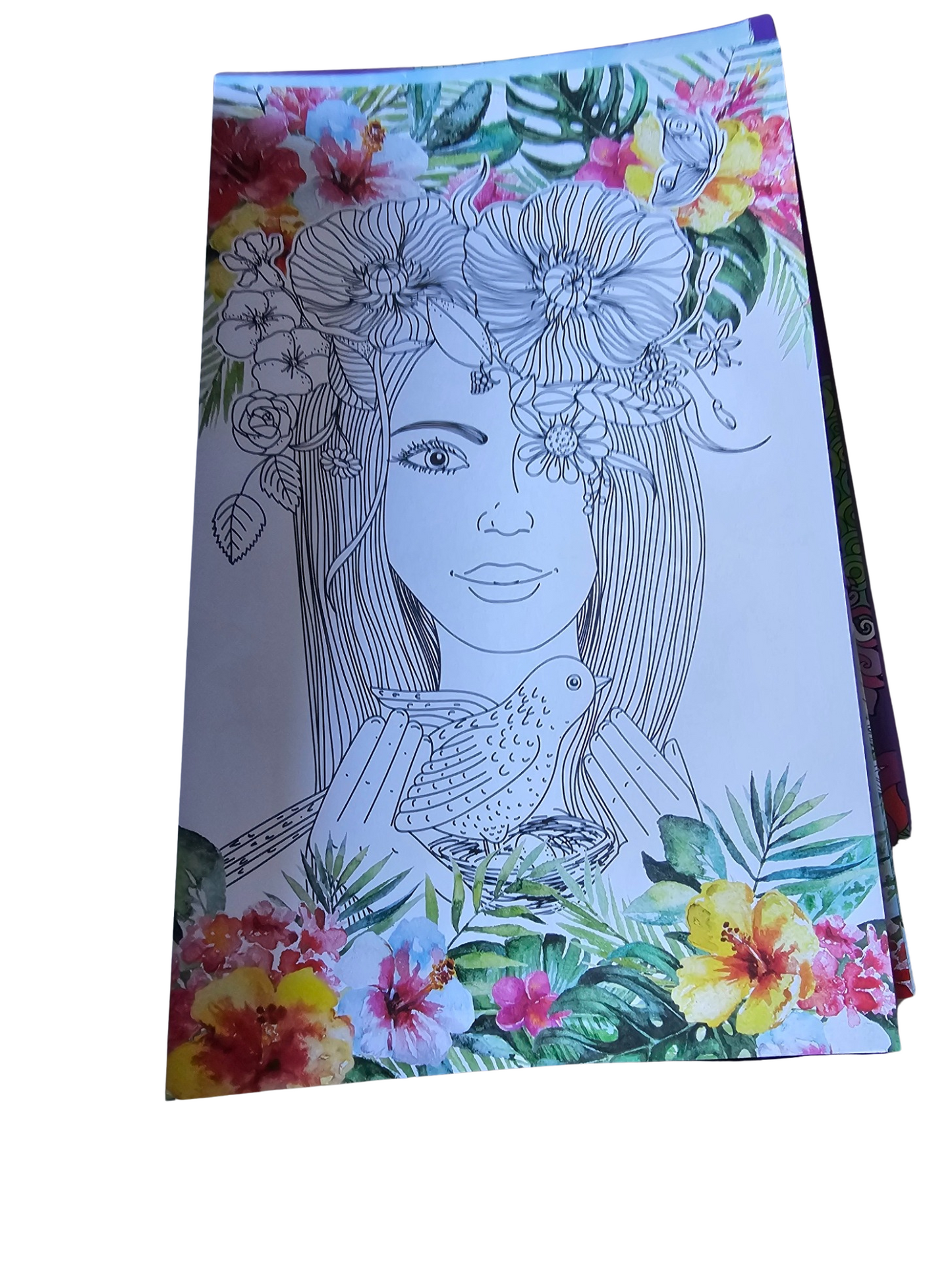 Illustrated Colouring Books by Decotime